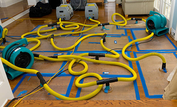 Professional Crawl Space Water Removal technician working in Fairview, OR